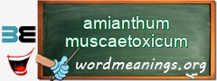 WordMeaning blackboard for amianthum muscaetoxicum